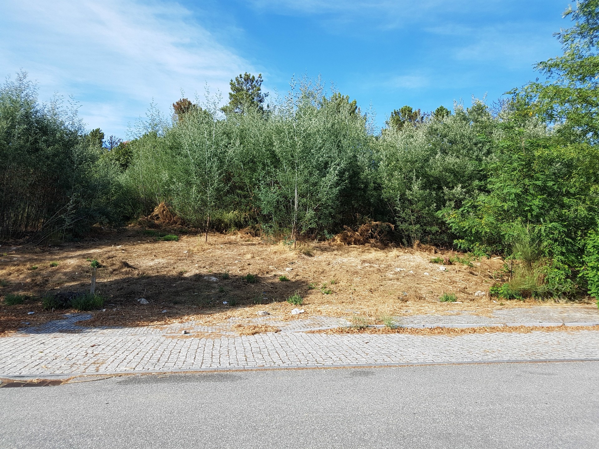 Lote de Terreno, Viseu, Viseu